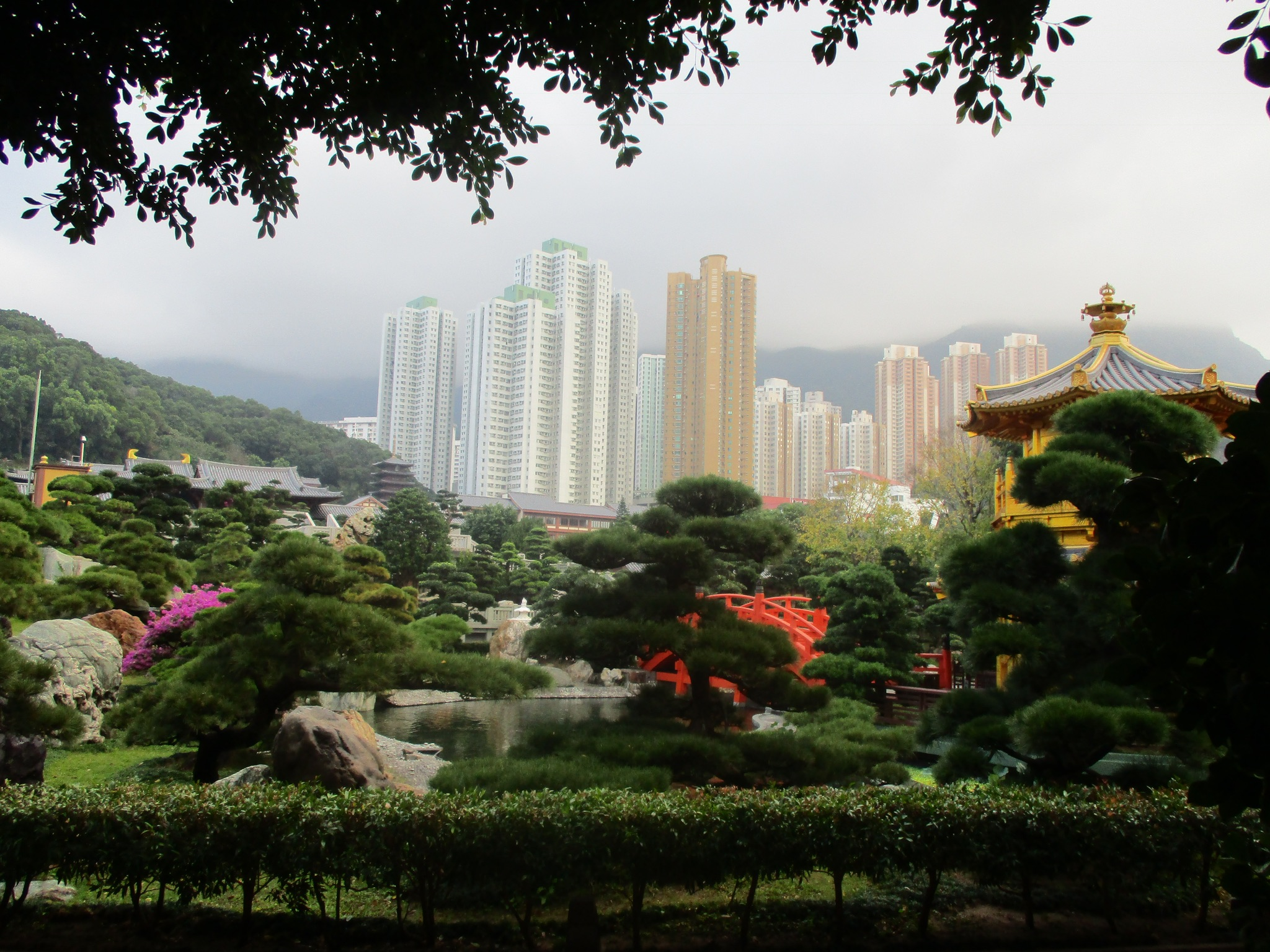 Nan Lian Garden, Hong Kong